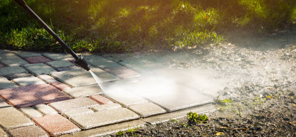 Best Driveway Pressure Washing  in Little Flock, AR